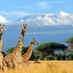 Operations Manager | Tanzania | Luxury Hospitality