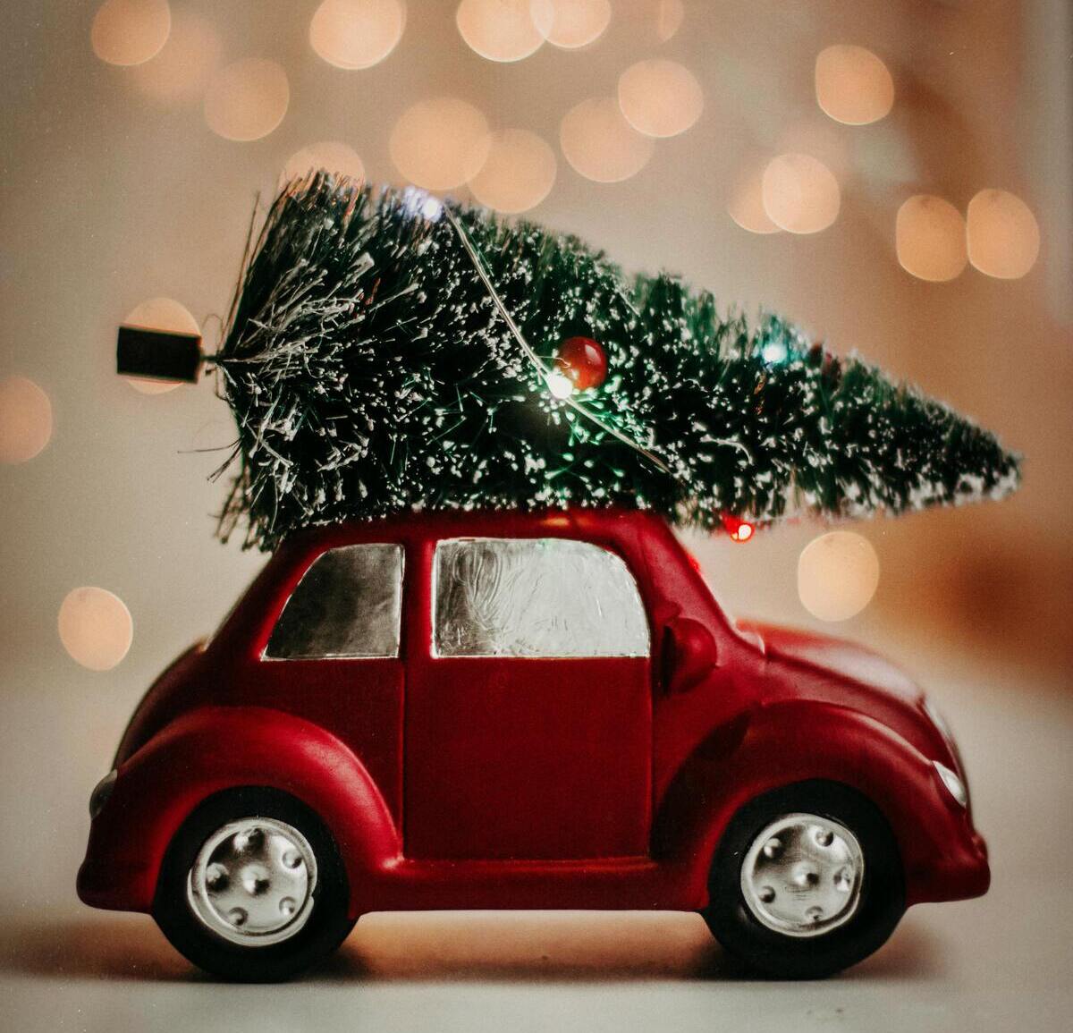 Red Volkswagen Beetle car with christmas tree on top for the silly season