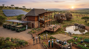 The Rise of Eco-Friendly Hospitality