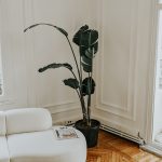 Product Coordinator | Cape Town | Home Décor Retail Brand