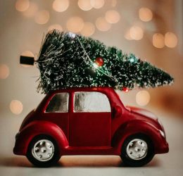 Red Volkswagen Beetle car with christmas tree on top for the silly season