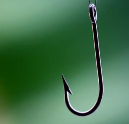 Fish-hook