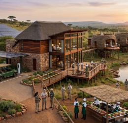 The Rise of Eco-Friendly Hospitality